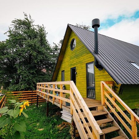 Wooden Cottage "Green House" In Bakuriani Esterno foto