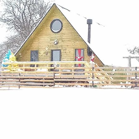Wooden Cottage "Green House" In Bakuriani Esterno foto