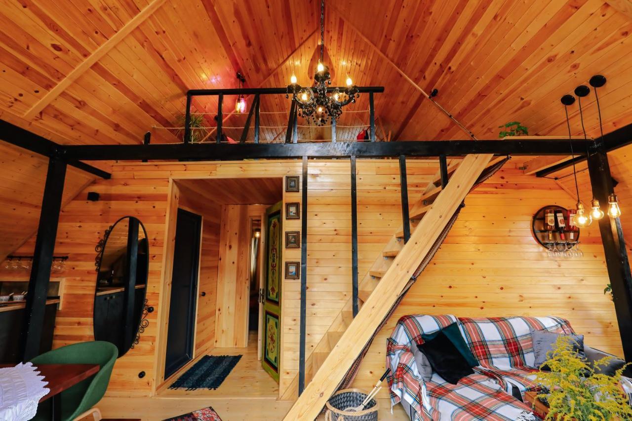 Wooden Cottage "Green House" In Bakuriani Esterno foto