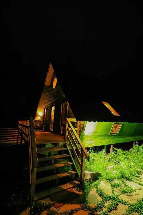 Wooden Cottage "Green House" In Bakuriani Esterno foto