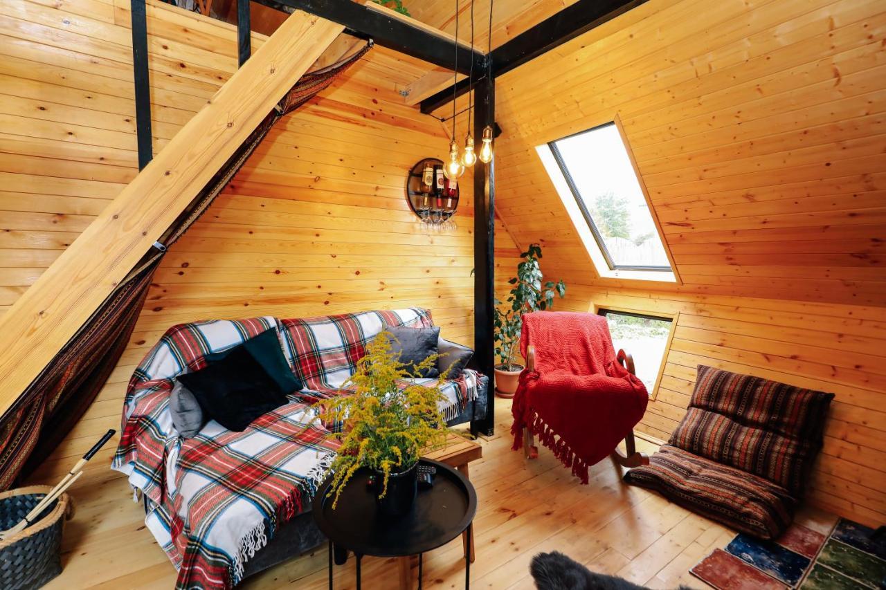Wooden Cottage "Green House" In Bakuriani Esterno foto