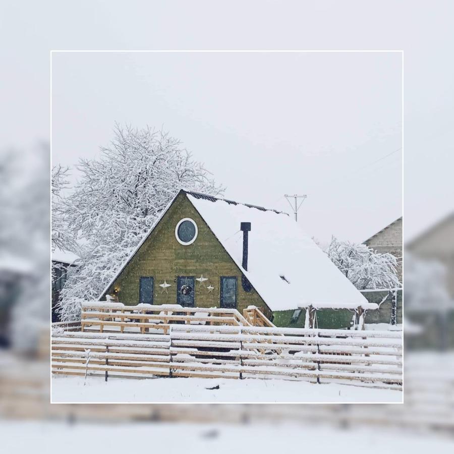 Wooden Cottage "Green House" In Bakuriani Esterno foto