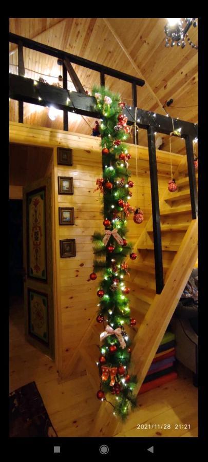 Wooden Cottage "Green House" In Bakuriani Esterno foto